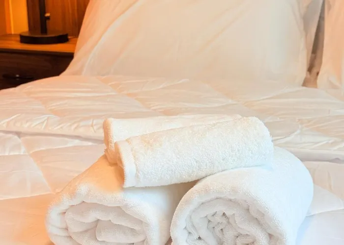 New! Rustic Cozy 350mbps Skyline Bgc Uptown Backhome3 *
